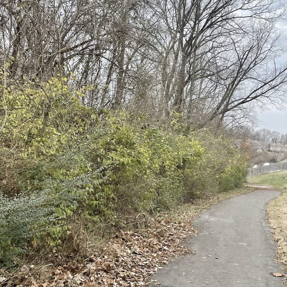 Providence Park - Parks Near Me - Nashville, Tennessee Providence Park - Parks Near Me - Nashville, Tennessee