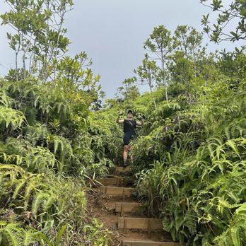Kuliouou Ridge Trail - So many stairs but very worth it - Hiking Near Me - Honolulu, Hawaii Kuliouou Ridge Trail - So many stairs but very worth it - Hiking Near Me - Honolulu, Hawaii