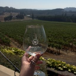 Vineyards Vineyards