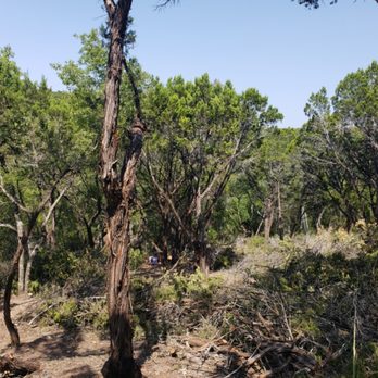 Alvaro's Landscaping and Tree Services - Tree removal - Landscaping Near Me Alvaro's Landscaping and Tree Services - Tree removal - Landscaping Near Me