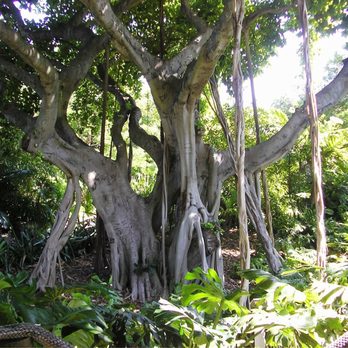 Jungle Island - Amusement Parks Near Me - Miami, Florida Jungle Island - Amusement Parks Near Me - Miami, Florida