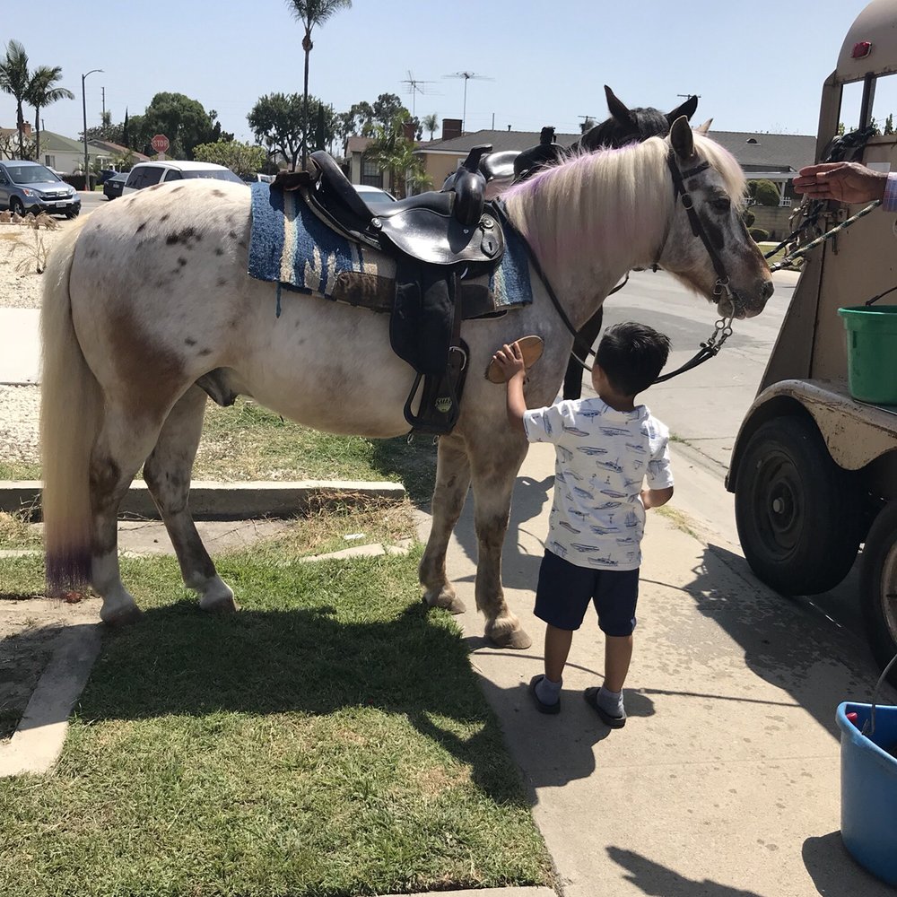 Kidsparties Entertainment - Birthday boy brushing shorty - Face Painting Near Me - Bellflower, California