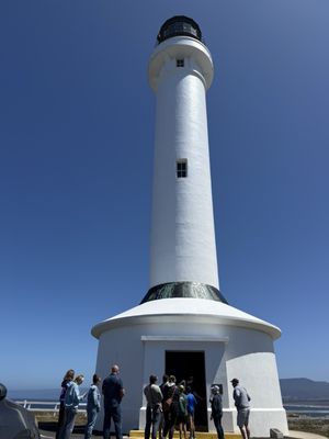 Point Arena Lighthouse by null