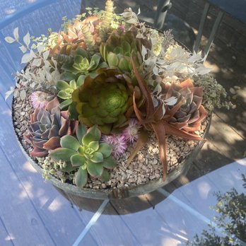 Broadway Terrace Nursery - Had Andre replant on older container for my house! Beautiful. - Nurseries & Gardening Near Me - Oakland, California Broadway Terrace Nursery - Had Andre replant on older container for my house! Beautiful. - Nurseries & Gardening Near Me - Oakland, California