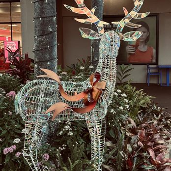 Kukui Grove Center - Merry Christmas Kukui Grove - Shopping Centers Near Me - Lihue, Hawaii Kukui Grove Center - Merry Christmas Kukui Grove - Shopping Centers Near Me - Lihue, Hawaii