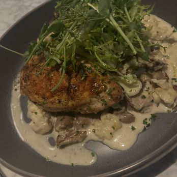 Ava June - The chicken - French Near Me - Tulsa, Oklahoma