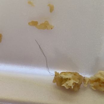 Sunflower Cafe - Hair fried into the rice - Sushi Bars Near Me - Valrico, Florida
