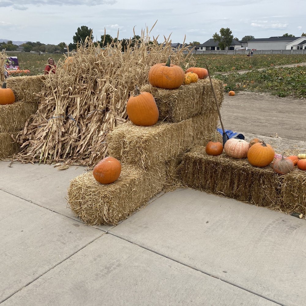 Mabey’s Pumpkin Patch - Pumpkin Patches Near Me - South Jordan, Utah Mabey’s Pumpkin Patch - Pumpkin Patches Near Me - South Jordan, Utah