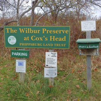 Wilbur Preserve - Hiking Near Me - Phippsburg, Maine