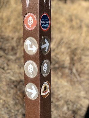 DON CASTRO REGIONAL RECREATION AREA Updated September 2024 377