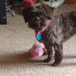 My baby girl, Gypsy.