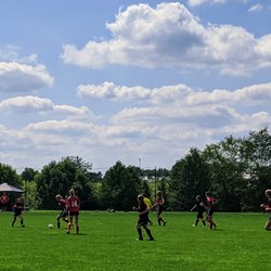 Karst Farm Park - Soccer fields