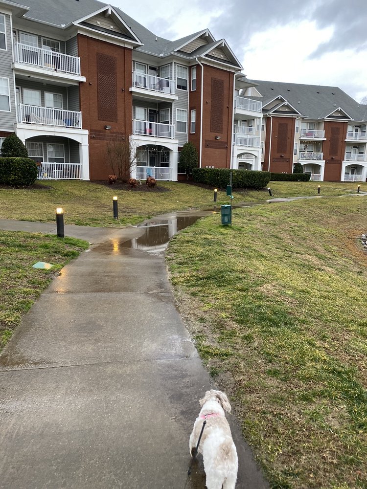 FALCON CREEK LUXURY APARTMENTS Updated September 2024 37 Photos