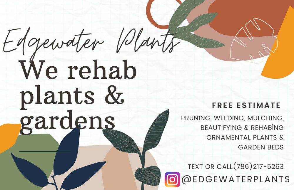 EDGEWATER PLANTS AND GARDENS Edgewater, Florida Gardeners Phone