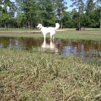 Meyer Park Dog Park - Dog Parks Near Me - Spring, Texas
