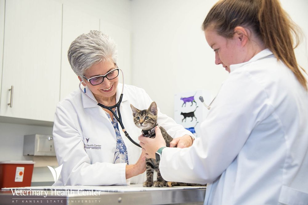 KANSAS STATE UNIVERSITY VETERINARY HEALTH CENTER Updated September 2024 20 Reviews 1800