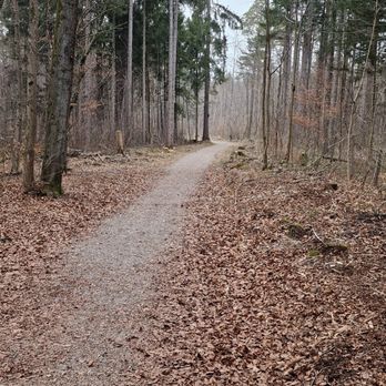 Siebentischwald - Hiking Near Me