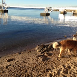 Tug checking out where to lay out to catch some rays! Tug checking out where to lay out to catch some rays!