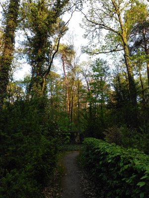 Grunewald by null