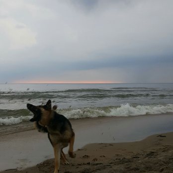 Kirk Park - trying to catch all the sand, midair...not the easiest! - Beaches Near Me - West Olive, Michigan