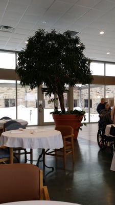 Christian Community Homes And Services