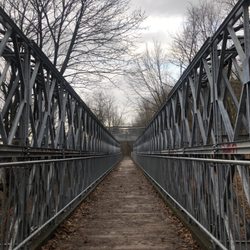 Chedoke Radial Trail