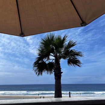 Young's Beach Shack - View from patio - Breakfast & Brunch Near Me - Dana Point, California Young's Beach Shack - View from patio - Breakfast & Brunch Near Me - Dana Point, California