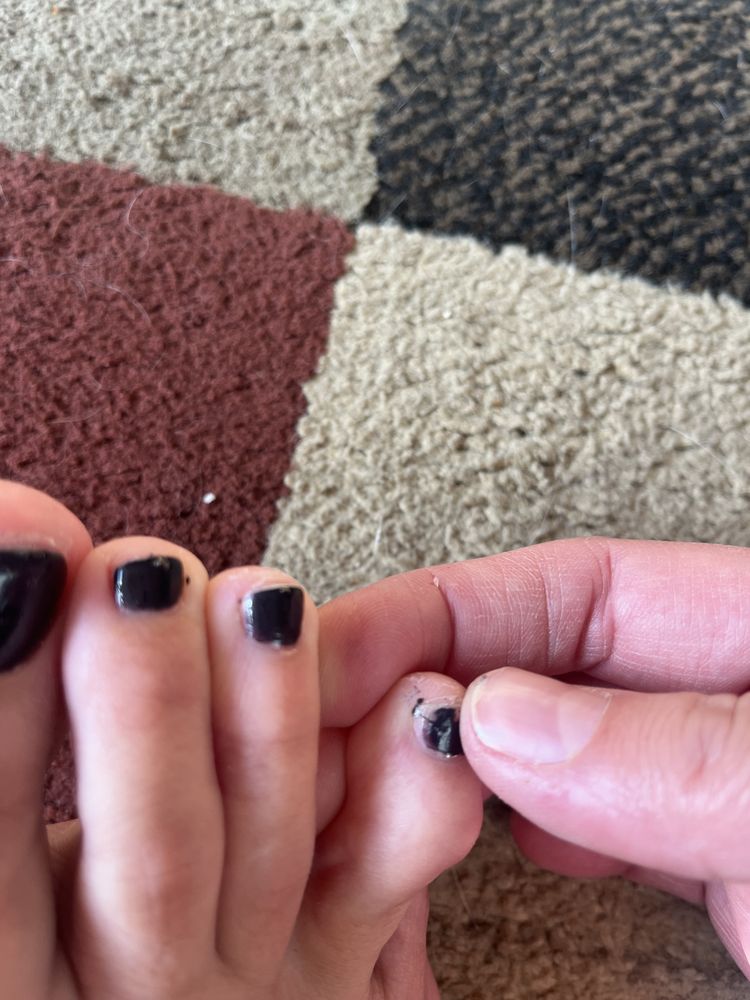 Zen Nails & Spa Logo