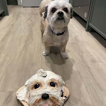 Krazy Cake Designs By Anny - Custom Cakes Near Me