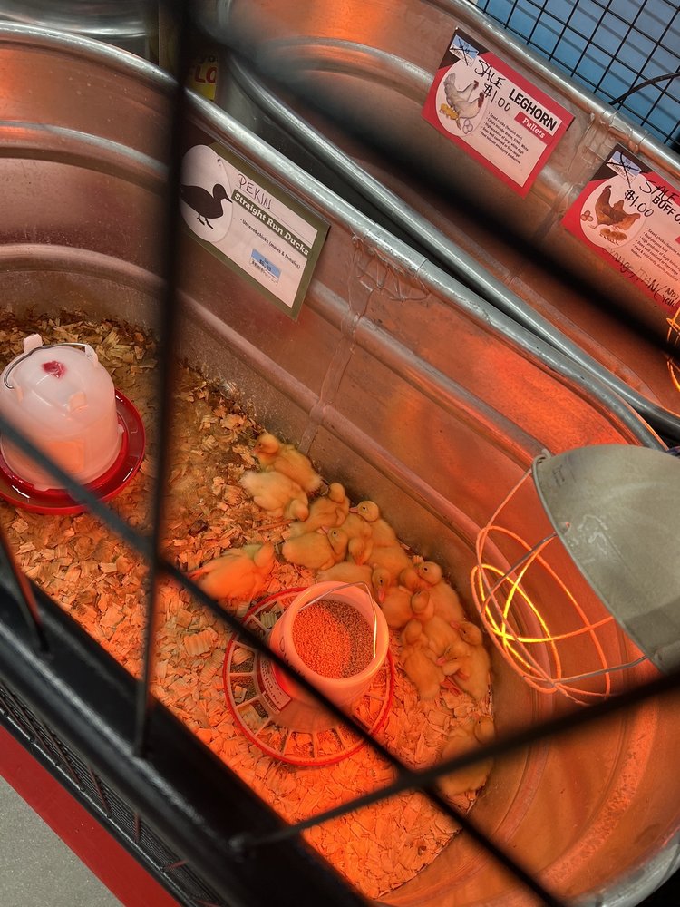 Tractor Supply Image