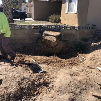 Desert Canyon Landscaping - Irrigation Near Me Desert Canyon Landscaping - Irrigation Near Me
