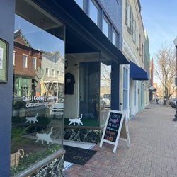 Cat Zen Cafe and Lounge - Entrance without the chaos