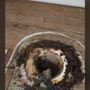 Oahu Elite Plumbing