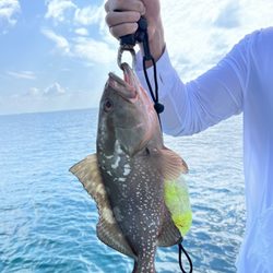 Shadowcaster Flats Fishing