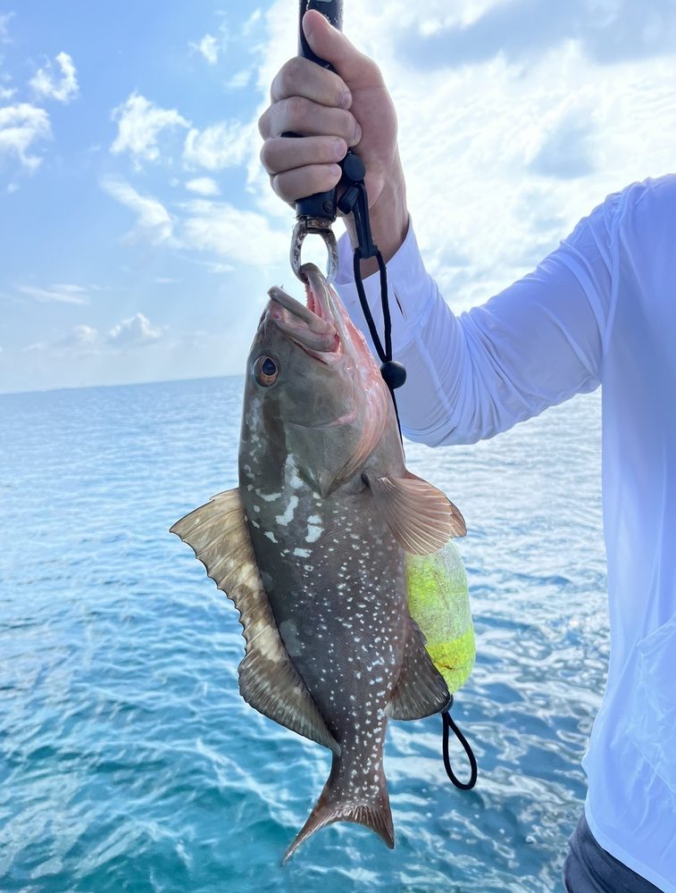 Shadowcaster Flats Fishing