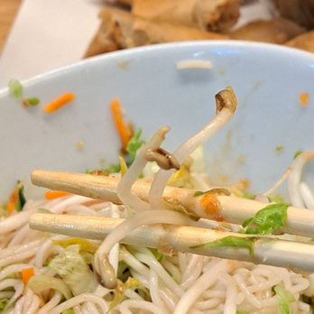 Pho Legend - the mung bean sprouts were not fresh and looked old and withered - Noodles Near Me - Los Angeles, California Pho Legend - the mung bean sprouts were not fresh and looked old and withered - Noodles Near Me - Los Angeles, California