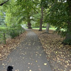 Marble Hill House & Park English Heritage