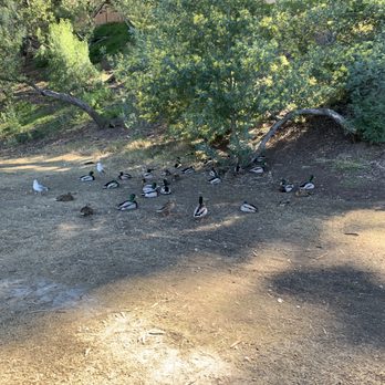 Libby Lake Park - Parks Near Me - Oceanside, California