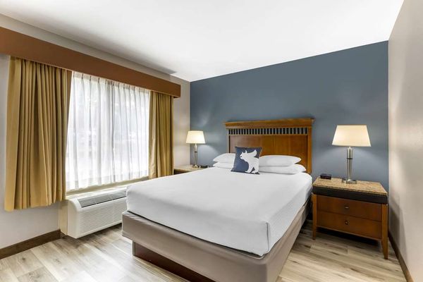 Best Western Denver Southwest by null