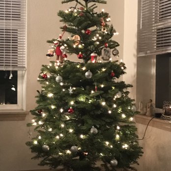 Skyline Christmas Tree Farm - Christmas Trees Near Me - Salem, Oregon