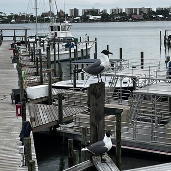 Avenue Pub - Orange Beach - Our friends for dinner - the view - American Near Me - Orange Beach, Alabama