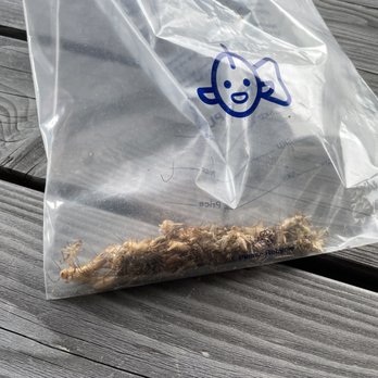 Petco - Dead crickets - Pet Stores Near Me - Concord, New Hampshire