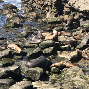 La Jolla Cove - Parks Near Me - La Jolla, California