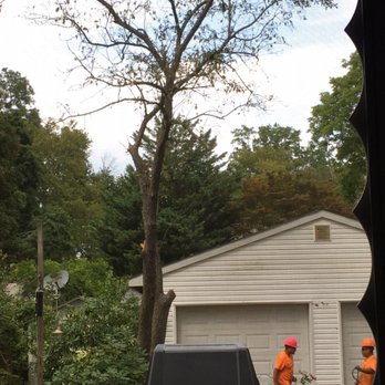 Ultimate Tree Service - Tree Services Near Me - Howell, New Jersey