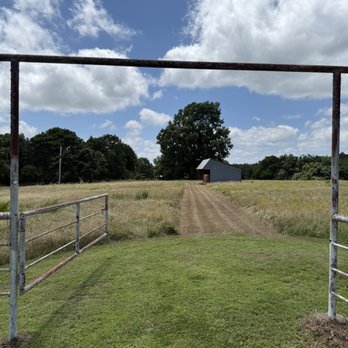 Billy’s Lawn Care - Mowed a nice path for the assessor to inspect the horse/cattle barn. - Tree Services Near Me Billy’s Lawn Care - Mowed a nice path for the assessor to inspect the horse/cattle barn. - Tree Services Near Me