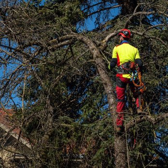 Roubic Tree Service - Tree Services Near Me - Chagrin Falls, Ohio Roubic Tree Service - Tree Services Near Me - Chagrin Falls, Ohio