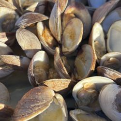 A1 Seafood - Steamed clams with garlic butter