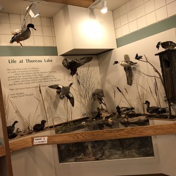 Blendon Woods Metro Park - Nature Center - Parks Near Me - Westerville, Ohio