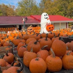 Szalay's Sweet Corn Farm