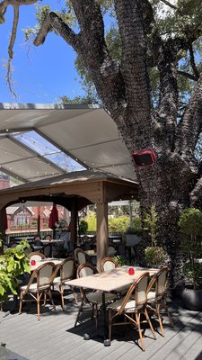 Ruggles Black by null